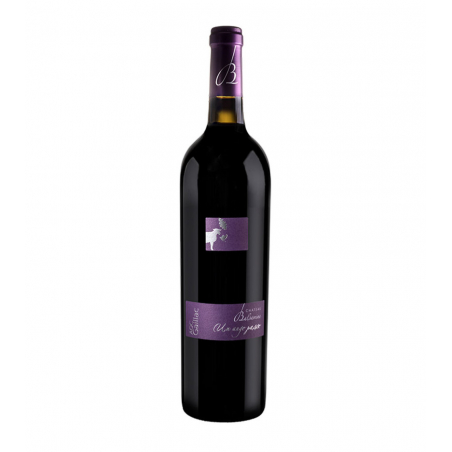 Château Balsamine "Un Ange Passe" AOP Gaillac Rouge 20226142