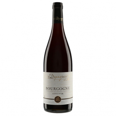 Domaine Dupasquier et Fils Bourgogne 20226291